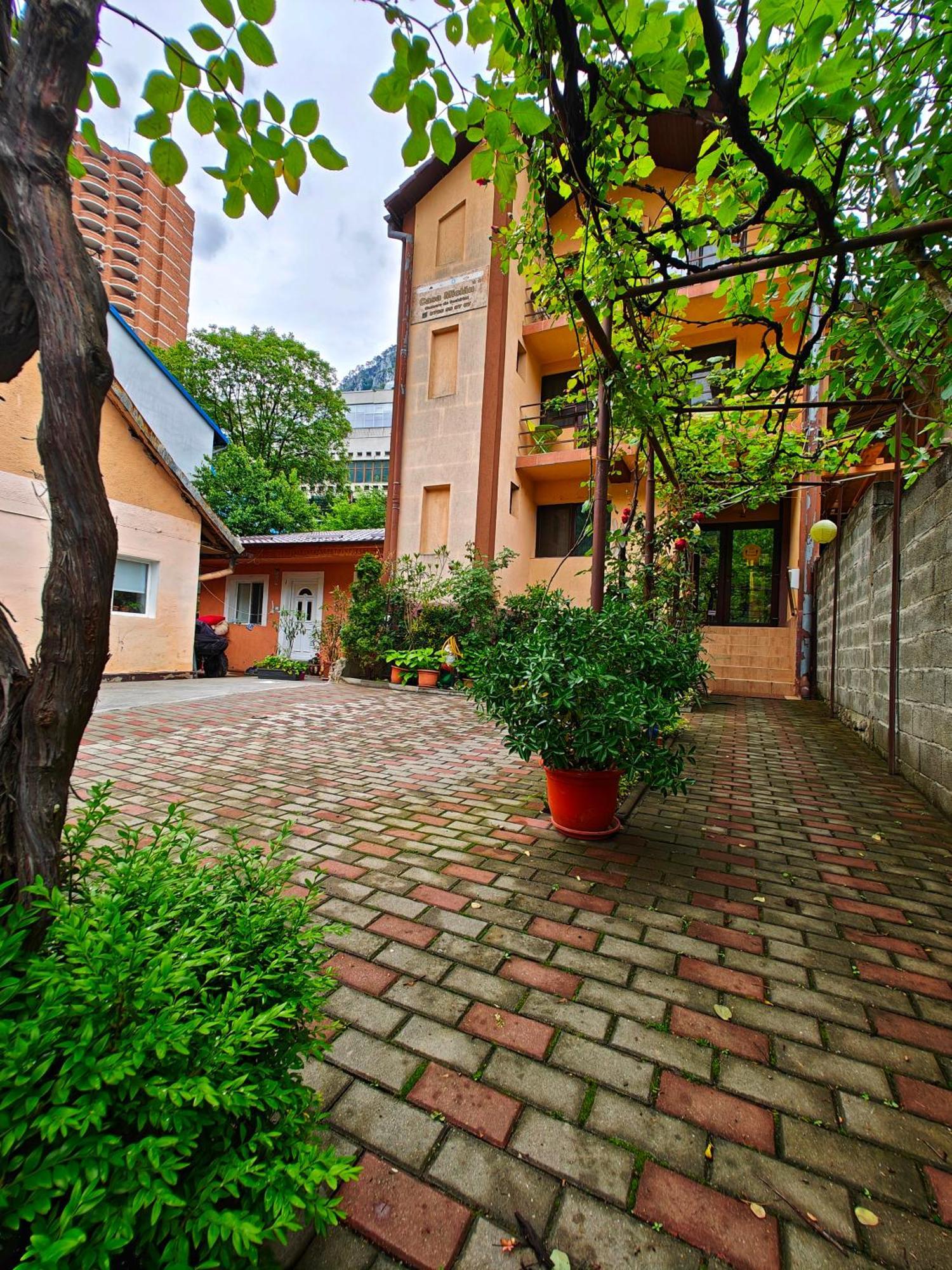 Апартаменты Casa Miclau Бэиле-Еркулане Экстерьер фото