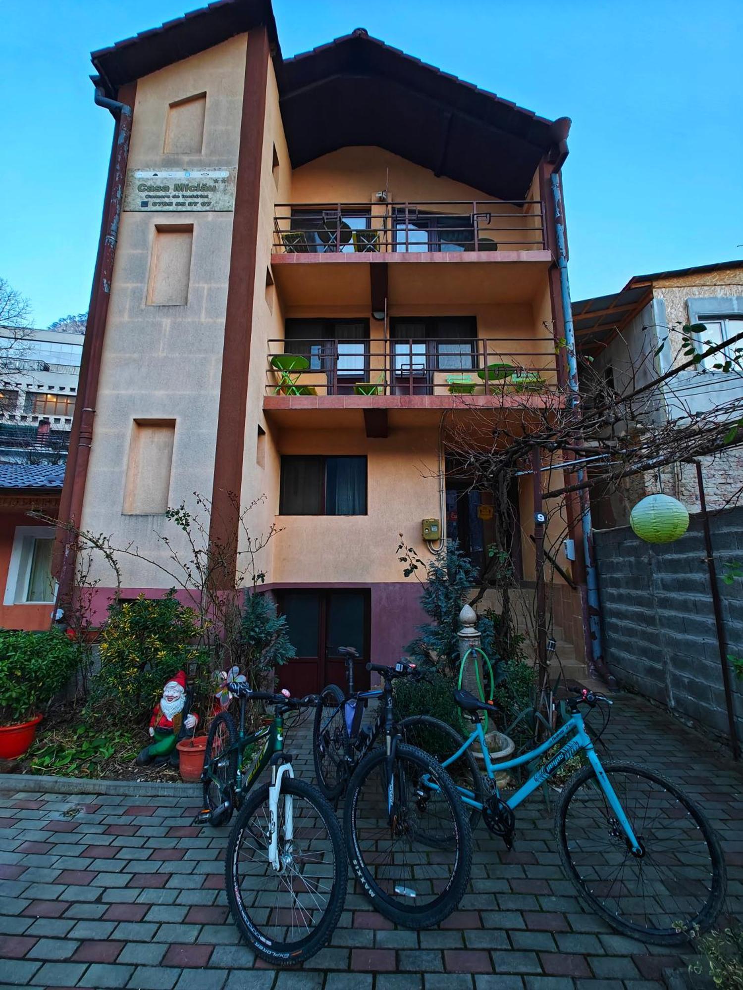 Апартаменты Casa Miclau Бэиле-Еркулане Экстерьер фото