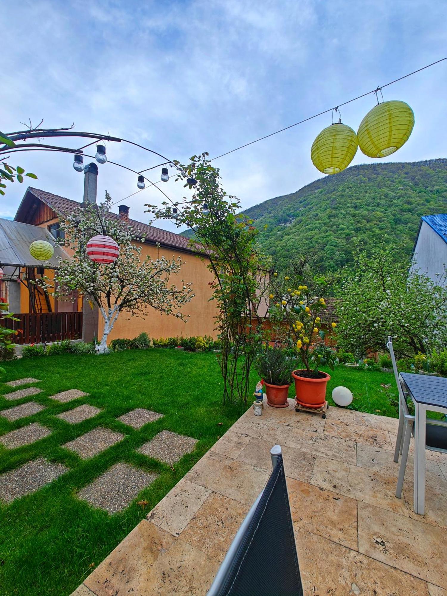Апартаменты Casa Miclau Бэиле-Еркулане Экстерьер фото