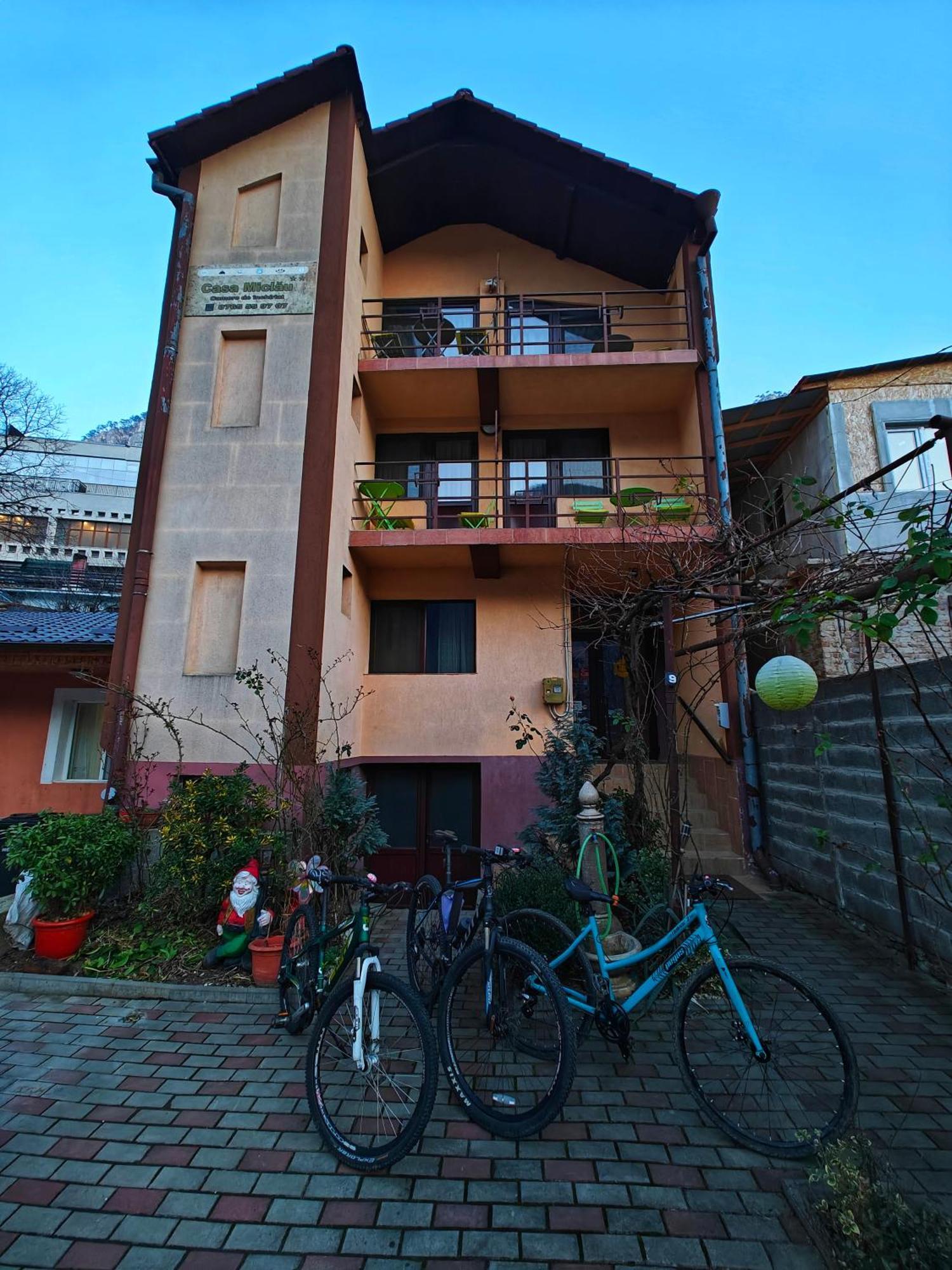 Апартаменты Casa Miclau Бэиле-Еркулане Экстерьер фото